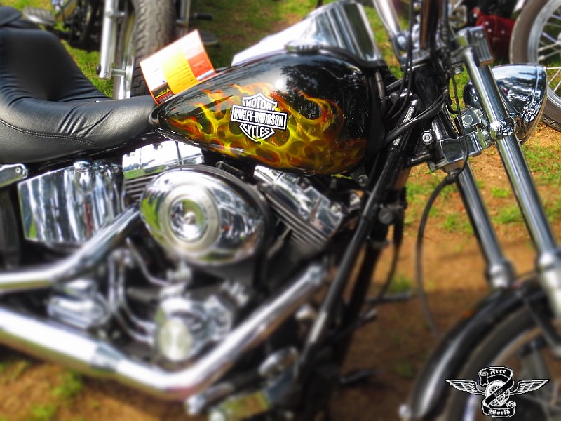 INDIAN CHOPPERS 049.jpg